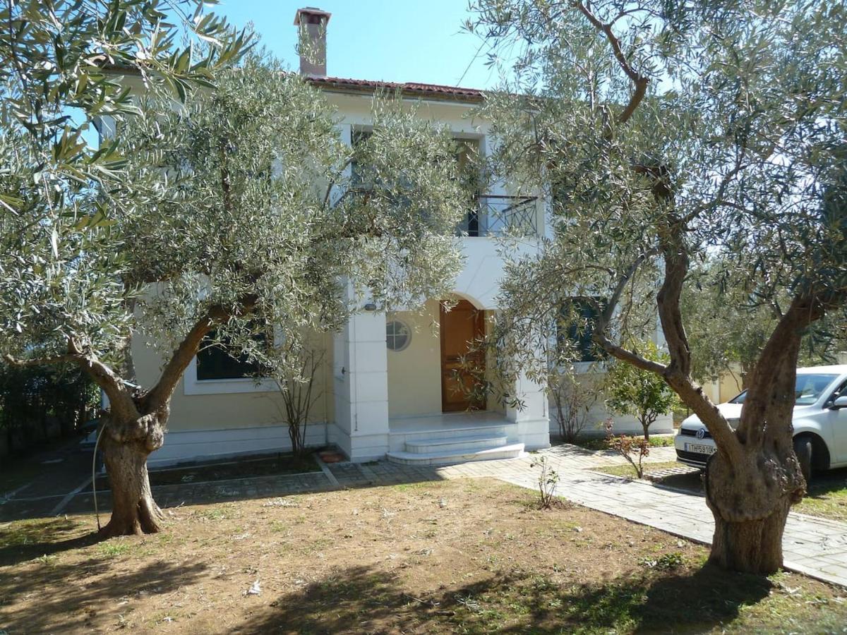 Villa Liana Sourpi Bagian luar foto