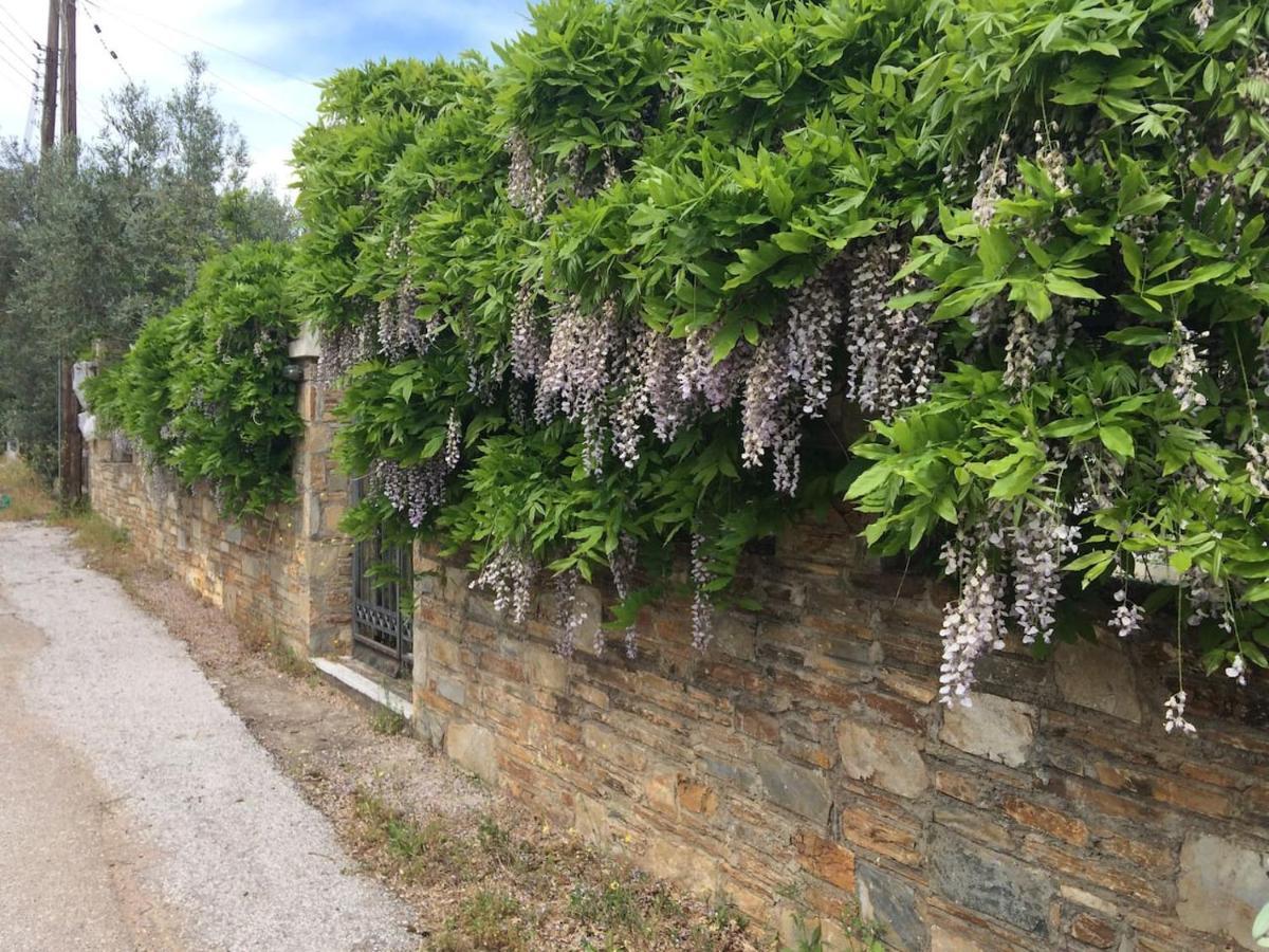 Villa Liana Sourpi Bagian luar foto